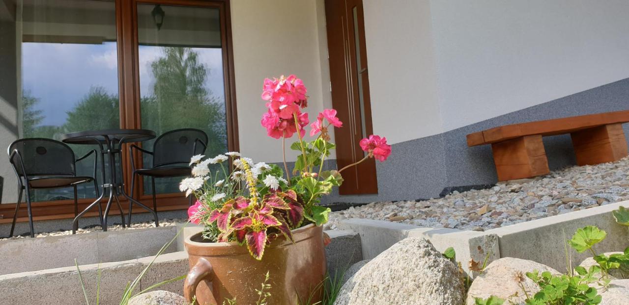 Apartament Na Brzyzku زاكوباني المظهر الخارجي الصورة